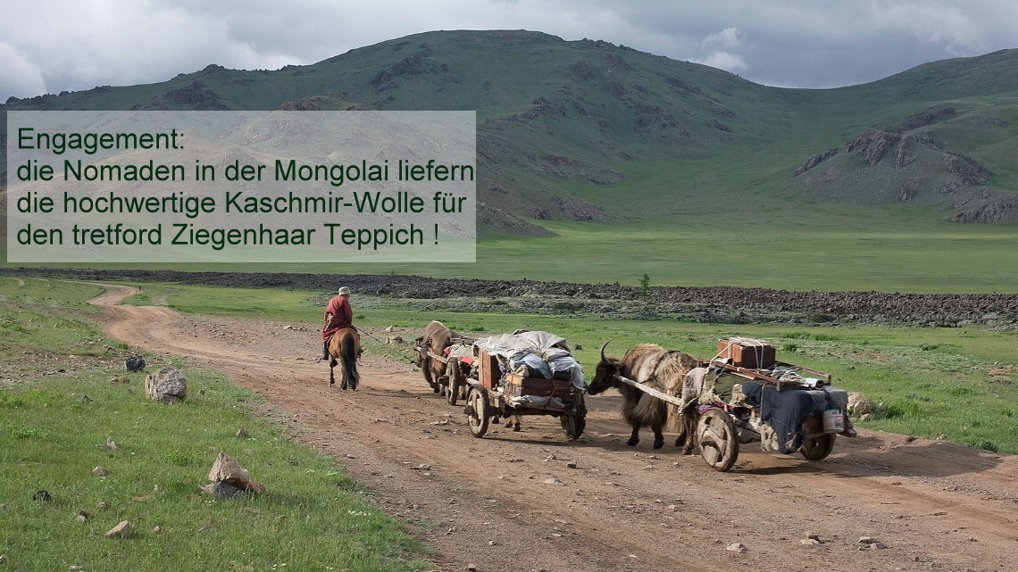 tretford engagement: Kaschir Wolle aus der Mongolai